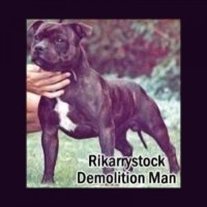 rikarrystock demolition man