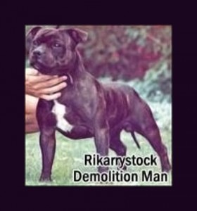 rikarrystock demolition man